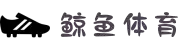 鲸鱼体育 - 全球赛事直播 - 即时足球篮球比分体育平台